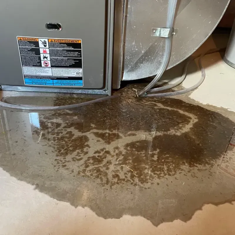 Appliance Leak Cleanup in Laurel County, KY